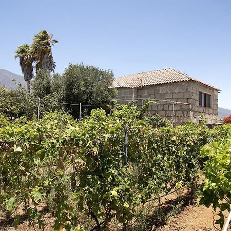 Güimar Las Tres Palmeras מראה חיצוני תמונה